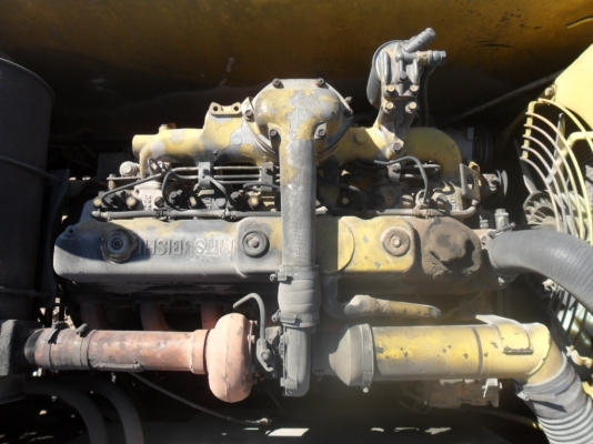 ขายหางปลา