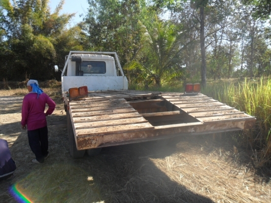 ขายหางปลา