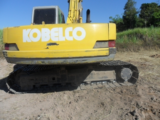 ขายหางปลา