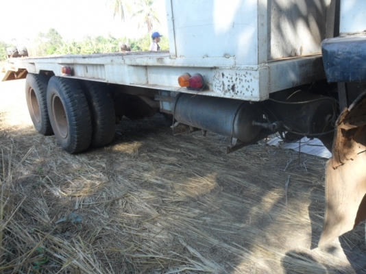 ขายหางปลา