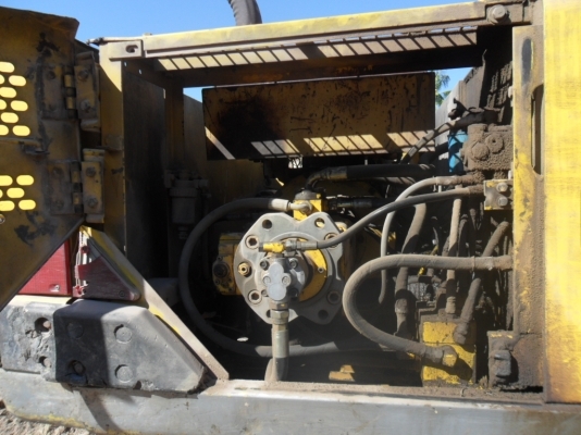 ขายหางปลา