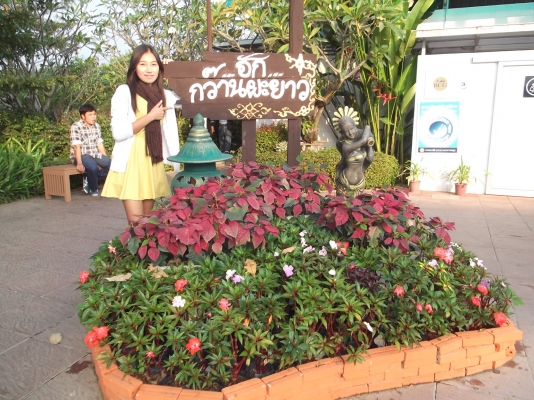 ขายเกวียนโบราณ 2 หลังๆ 20,000 บาท สภาพสวยสมบูรณ์พร้อมนำเอาไปปตกแต่งสวน/รีสอร์ท/โรงแรม