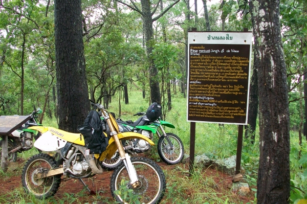 ขายด่วน ขายด่วน