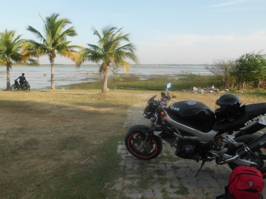 ขายด่วนเดือนเดียวราคานี้ตัว1000