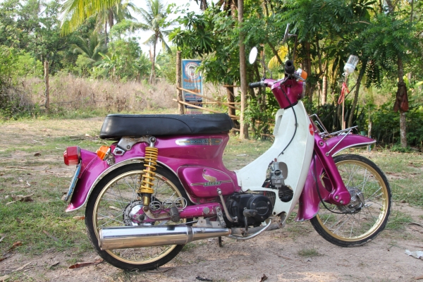 ขาย C70 เครื่องเวฟมีเล่มทะเบียนพร้อมชุดโอนภาษีขาดปี 50 ขาย C70 เครื่องเวฟมีเล่มทะเบียนพร้อมชุดโอนภาษีขาดปี 50