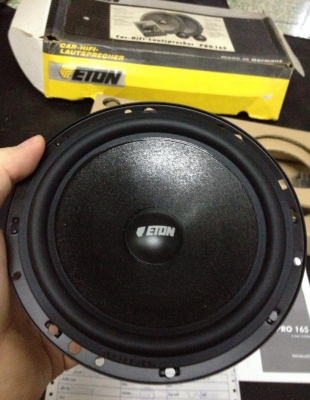 Eton PRO 165