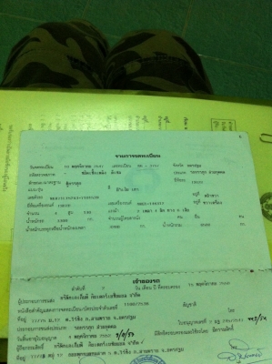 ขาย 6 ล้อ NKR-130 โบว์ รถห้าง ปี 47 ไม่แพงครับ ขาย 6 ล้อ NKR-130 โบว์ รถห้าง ปี 47 ไม่แพงครับ
