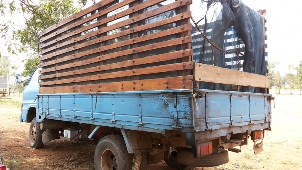 ***ขายแล้วครับขอบคุณ Truck2hand ขาย6ล้อ 100แรง ISUZU 4BB1 100แรงฝาขาว เครื่องดีแน่น อึด แรงดี เกียร์สายแล้ว ช่วงล่างเฟืองท้าย110 คัสซีดีไม่ผุเดิมดี เสริมบนล่าง มีปะตรงคอซ้ายรถนิดหน่อย(ตามรูป) เสริมแหนบแล้ว กระบะพื้นไม้ดีไม่ผุคอกไม้ สูงแข็งแรงไม้เนื้อแข็งห ***ขายแล้วครับขอบคุณ Truck2hand ขาย6ล้อ 100แรง ISUZU 4BB1 100แรงฝาขาว เครื่องดีแน่น อึด แรงดี เกียร์สายแล้ว ช่วงล่างเฟืองท้าย110 คัสซีดีไม่ผุเดิมดี เสริมบนล่าง มีปะตรงคอซ้ายรถนิดหน่อย(ตามรูป) เสริมแหนบแล้ว กระบะพื้นไม้ดีไม่ผุคอกไม้ สูงแข็งแรงไม้เนื้อแข็งห