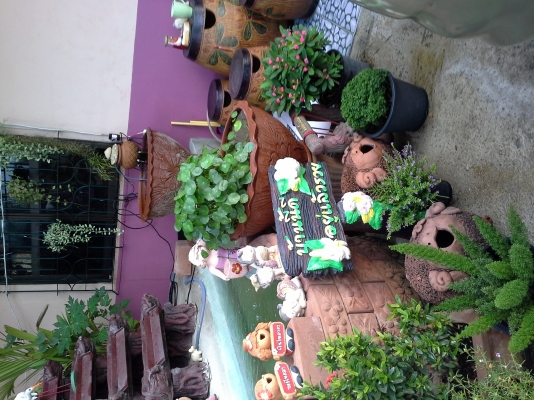 ขายรถแม็กโค      NIKKO   แบบ   BH   45 เก่านอกแทรกเหล็กสวย  เอวแน่น   ราคาไม่แพง   มีเอกสารแจ้งจำหน่วยเจ้าของขาย