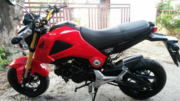 msx 125 msx 125
