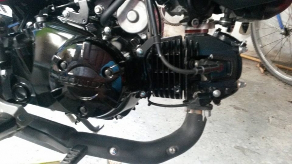 msx 125 msx 125