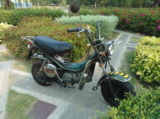 ขาย Chappy