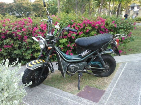 ขาย Chappy