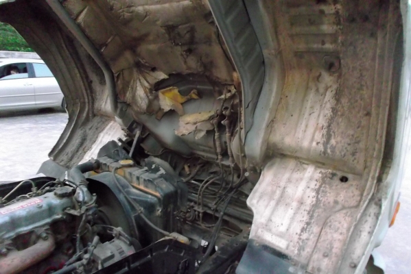 ขายด่วนรถ6ล้อFC2Wดรั้มเครือง120แรงปี39รถไมเคยบรรทุกดิน