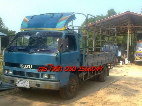 ***ขายแล้วครับขอบคุณ Truck2hand ขาย6ล้อยอดนิยม ISUZU 115 NPR59LU5FM "เสี่ยสั่งลุย" ห้างแท้ปี38 เครื่องเดิมเกียร์เดิม4BD1 115ฝาดำ เครื่องแน่นดี แรงไม่เยิ้ม ช่วงล่างเดิมคัสซีสวยไม่ปะไม่ดาม กระะบะพื้นไม้คอกเหล็ก4.30ม.สภาพดีไม่ผุ หัวเก๋งเดิมบาง ภายใ