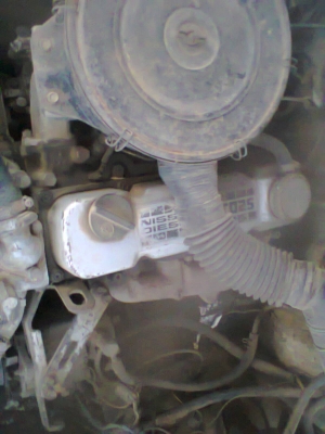 ขายนิสัน ขายนิสัน