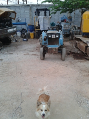 ขายรถไถนา-พรวนดิน  13แรง