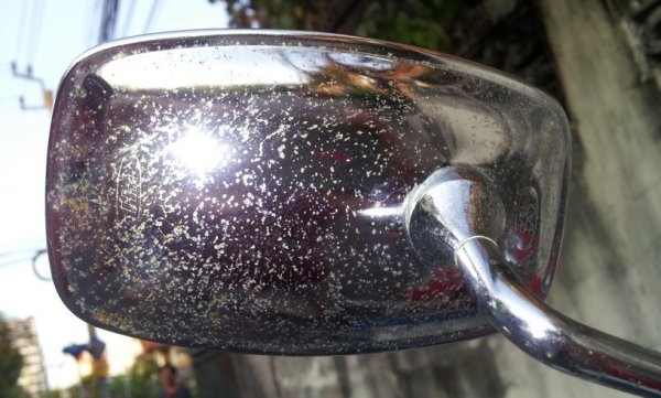 ขาย รถรุ่นเก่าๆ ขายตามอายุสภาพ C100 เก็บมานาน ขอขายเลยครับ