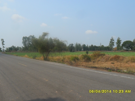 ขายที่ดิน 5 ไร่ ติดถนนดำ ขายที่ดิน 5 ไร่ ติดถนนดำ