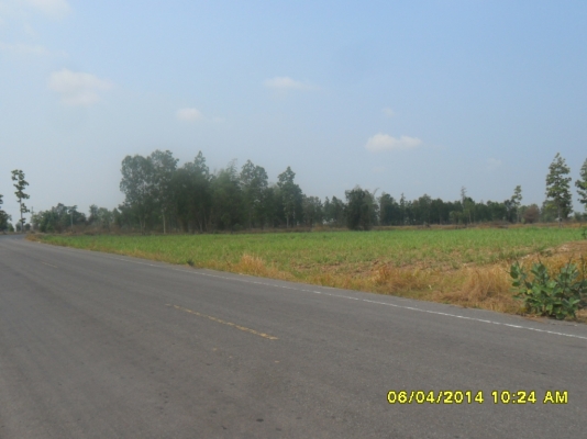 ขายที่ดิน 5 ไร่ ติดถนนดำ ขายที่ดิน 5 ไร่ ติดถนนดำ