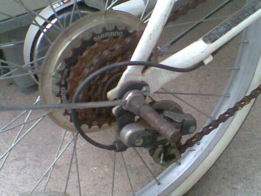 ขายจักรยานฮาเล่ย์ญี่ปุ่นขอบ 20