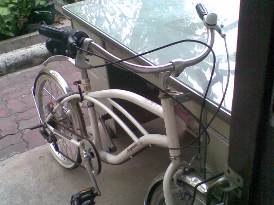 ขายจักรยานฮาเล่ย์ญี่ปุ่นขอบ 20