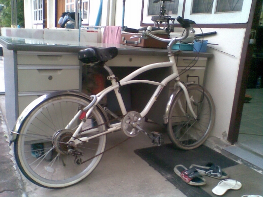 ขายจักรยานฮาเล่ย์ญี่ปุ่นขอบ 20