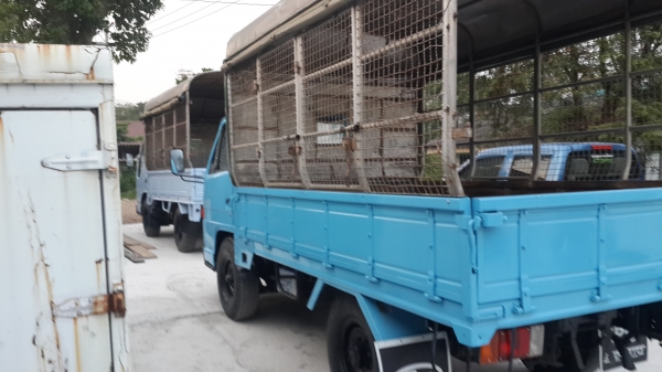 ขาย ISUZU NKR 4ล้อ ขาย ISUZU NKR 4ล้อ