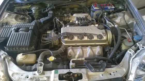 ขายด่วน