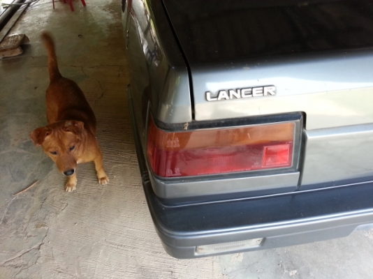 แยกขายรถ  มิตซูแชมป์ เด๋วลงรูปให้ดู