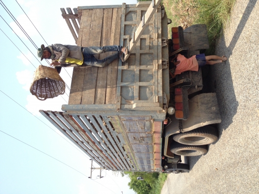 ขาย ไอ้หลง220 TF7262 รถบ้านพร้อมใช้งาน