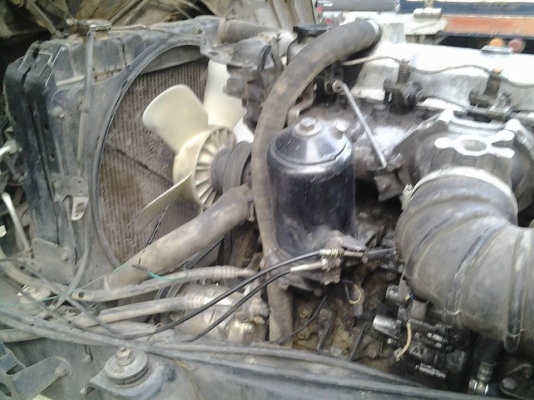 ขายด่วน 10 ล้อ ดั้ม MITSUBISHI FUSO 527M-TD 195 แรง สภาพเดิมๆ พร้อมใช้งาน ราคาสุดคุ้ม ขายด่วน 10 ล้อ ดั้ม MITSUBISHI FUSO 527M-TD 195 แรง สภาพเดิมๆ พร้อมใช้งาน ราคาสุดคุ้ม