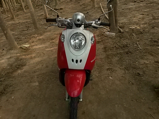 ขาย fino ทะเบียนเอกสารพร้อมโอน