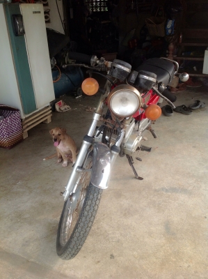 ขาย Rx100 ทะเบียนโอน