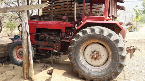 MTZ