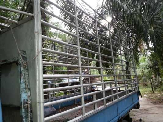 ขาย รถบรรทุก 6 ล้อ ISUZU