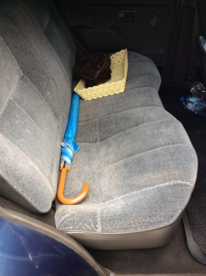 Isuzu Cameo ปี 95 สภาพ 80\% หน้า-หลังเดิม/เครื่องไม่มีไอ เฉลี่ย 1.80 บาท/กม./ ระบบคลัชใหม่ทั้งหมด/ ระบบเบรกใหม่หมด/ แอร์ใหม่ทั้งหมด/ วิทยุ-ซีดี ฟิล์ม สี ใหม่ทั้งหมด/ กันชนหน้า-หลังถอดได้ทุกชิ้น/ ยาง Michelin ปี 2013 85\% ราคา 175,000 บาท (พร้อมประกันภัยประ Isuzu Cameo ปี 95 สภาพ 80\% หน้า-หลังเดิม/เครื่องไม่มีไอ เฉลี่ย 1.80 บาท/กม./ ระบบคลัชใหม่ทั้งหมด/ ระบบเบรกใหม่หมด/ แอร์ใหม่ทั้งหมด/ วิทยุ-ซีดี ฟิล์ม สี ใหม่ทั้งหมด/ กันชนหน้า-หลังถอดได้ทุกชิ้น/ ยาง Michelin ปี 2013 85\% ราคา 175,000 บาท (พร้อมประกันภัยประ