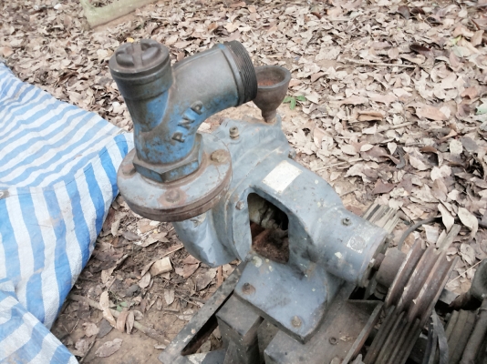 ขายเครื่องสูบน้ำ ขายเครื่องสูบน้ำ