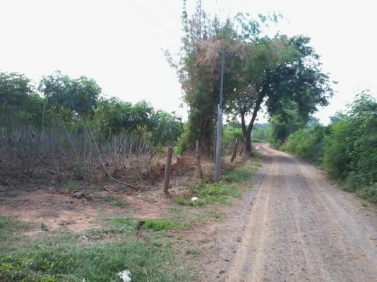 ขายที่ดิน 8ไร่ ติดทางสาธารณะ มีวิวภูเขารอบๆและธรรมชาติสวย