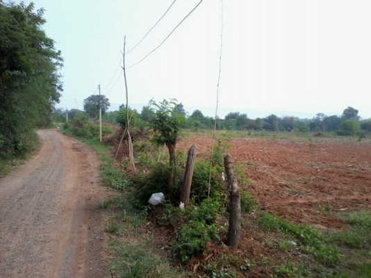 ขายที่ดิน 8ไร่ ติดทางสาธารณะ มีวิวภูเขารอบๆและธรรมชาติสวย