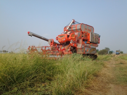 ขายรถเกี่ยวมาสเตอร์เป็นตัวโชว์ เครืองjo8   260HINO