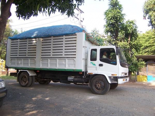 ขายด่วนครับรถหกล้อดั้มสวยๆ เจ้าของฝากขาย