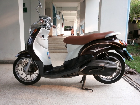 ขายฟีโน่เดิมๆ