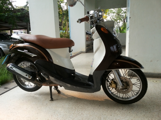 ขายฟีโน่เดิมๆ