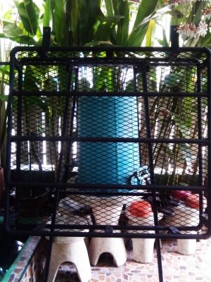 ขายแรค พื้นตะแกรง