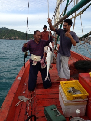 เรืดไดร์หมึก เรืดไดร์หมึก