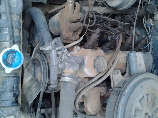 ขายด่วนๆ ช้าง สามหมื่นถ้วน มาเอาเลย ขายด่วนๆ ช้าง สามหมื่นถ้วน มาเอาเลย