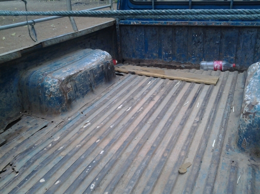 ขายด่วนๆ ช้าง สามหมื่นถ้วน มาเอาเลย ขายด่วนๆ ช้าง สามหมื่นถ้วน มาเอาเลย