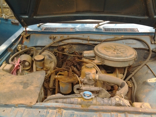 ขายด่วนๆ ช้าง สามหมื่นถ้วน มาเอาเลย ขายด่วนๆ ช้าง สามหมื่นถ้วน มาเอาเลย