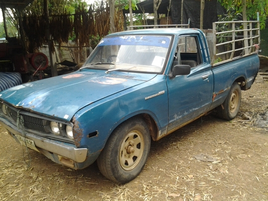 ขายด่วนๆ ช้าง สามหมื่นถ้วน มาเอาเลย